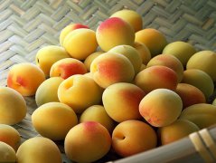 国仁仙姿：黄桃罐头吃了会发胖吗？